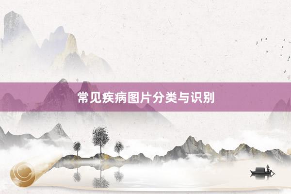 常见疾病图片分类与识别